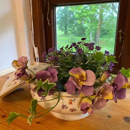 Stilvolle Unter Reet In Windbergen