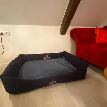 Stilvolle Unter Reet In Apartment *